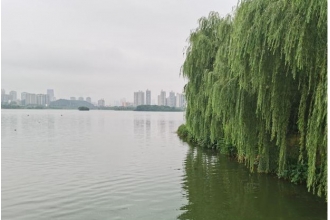 西湖公園垃圾桶選擇