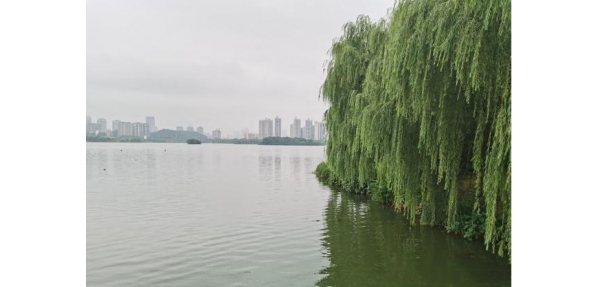 西湖公園垃圾桶選擇